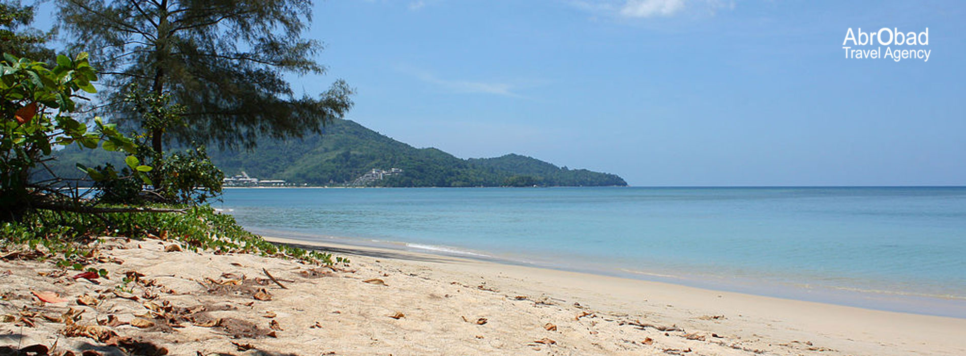p5.jpg