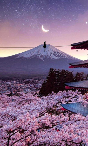 ژاپن